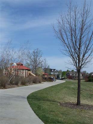 Creekside