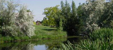 Meadowview